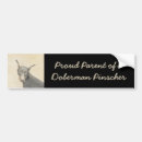 Search for doberman pinscher bumper stickers Dobermann