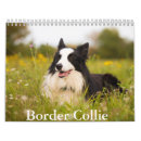 Search for border collie calendars Pet
