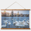 Search for beautiful swan art Swans
