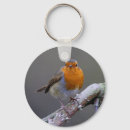 Search for cute robin key rings Red