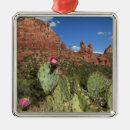 Search for sedona christmas tree decorations Cactus