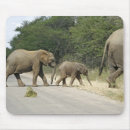 Search for big ear mousepads Animals