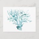Search for blue postcards Sealife