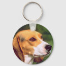 Search for beagle dog key rings Puppy