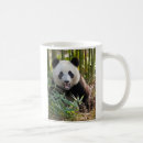 Search for danita delimont mugs Wildlife
