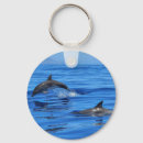 Search for dolphin fish key rings Animal