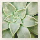 Search for single flower photography Floral