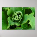Search for dewdrop posters Droplet