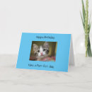 Search for green eyes cards Tabby