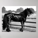 Search for equine for art Horse rider