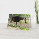 Search for africa christmas cards Wildlife