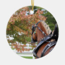 Search for belgian draft horse Horses