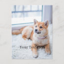 Search for christmas anniversary cards Dog
