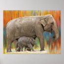 Search for colorful elephant posters Baby