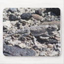 Search for horns mousepads Horned