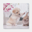 Search for dog ear magnets Friendship