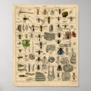 Search for wasp Illustration
