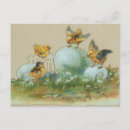 Search for vintage easter chicks postcards Rabbit