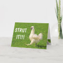 Search for strut cards Chicken