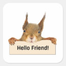 Search for funny squirrel stickers Woodland