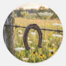 Search for barbed wire stickers Horseshoe