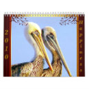 Search for endangered calendars Birds