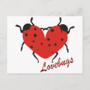 Search for love bug postcards Black