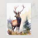 Search for stags postcards Watercolor