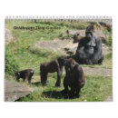 Search for primates calendars Ape