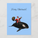 Search for whales christmas cards Orca