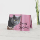 Search for kitty cat birthday cards Animal