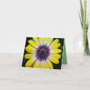 Search for admiration cards invites For her