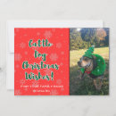 Search for blue heeler seasonal cards Cattle dog