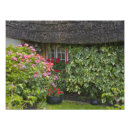 Search for thatch art Irish
