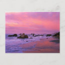 Search for oregon state postcards Sunrise