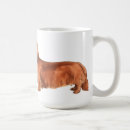 Search for i love dachshunds mugs Teckel