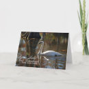 Search for swan cards Simple