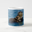 Search for otter mugs Nature