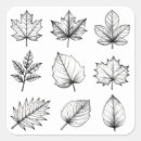 Search for collect stickers Nature