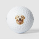 Search for golden retriever golf balls Dogs