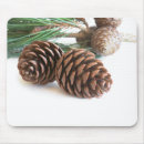 Search for pine needle electronics Cone
