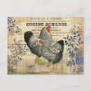 Search for hen postcards Farm