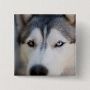 Search for closeup badges Dog