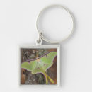 Search for moth square key rings Green