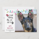 Search for dog sayings cards Funny