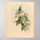 Search for hummingbird art Flowers