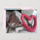 Search for rains postcards Dog