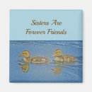 Search for mosaics magnets Stained glass