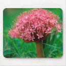 Search for day lily mousepads Green