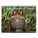 Search for toad office supplies Animals